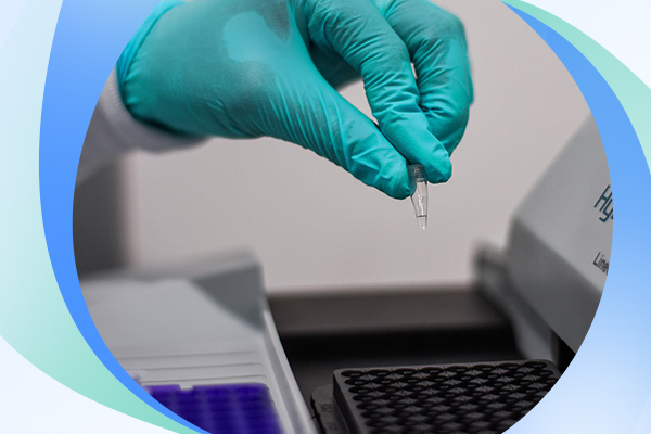 在哪可以做亲子鉴定？怀孕期间亲子鉴定怎么做？